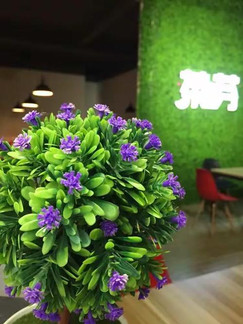 城市角落的温暖驿站 冷热饮品、小食与书香中的慢时光